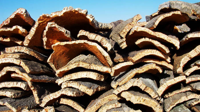 等待加工的樹皮