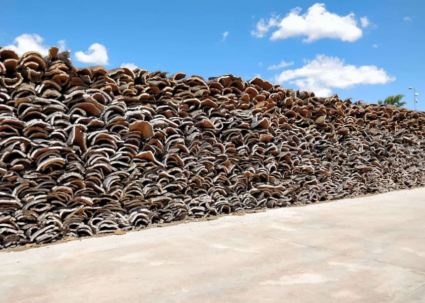 干凈的風(fēng)干軟木現(xiàn)場