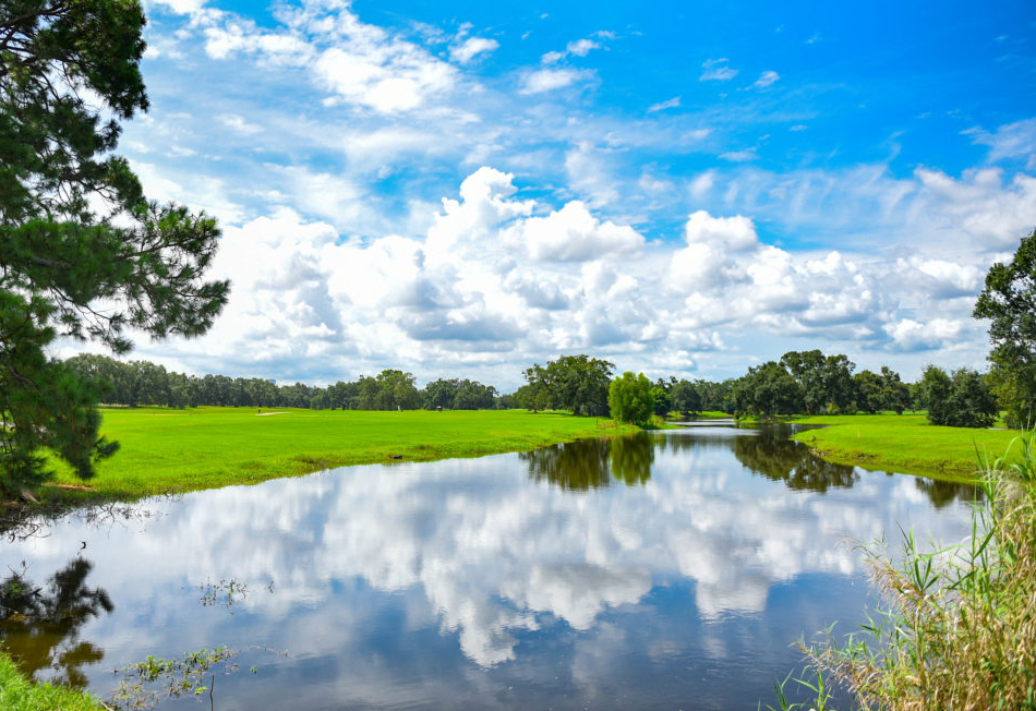軟木在生態功能中的應用